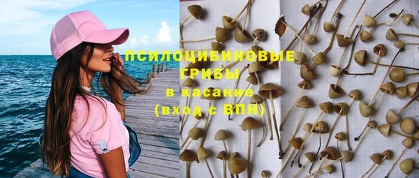 СК Алексеевка