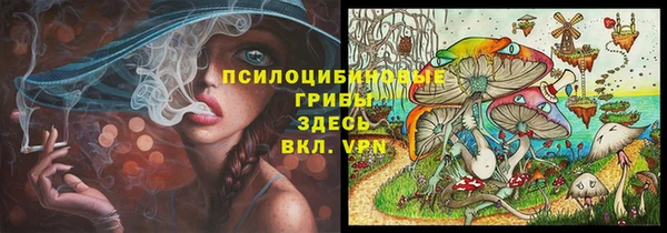 кокс Алексин
