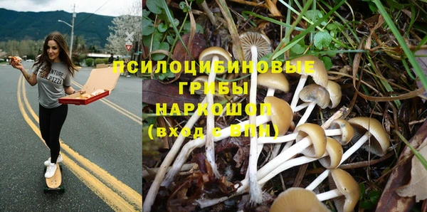 скорость Алзамай
