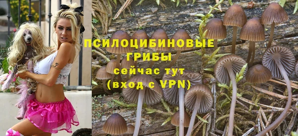 СК Алексеевка