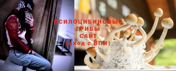 скорость Алзамай
