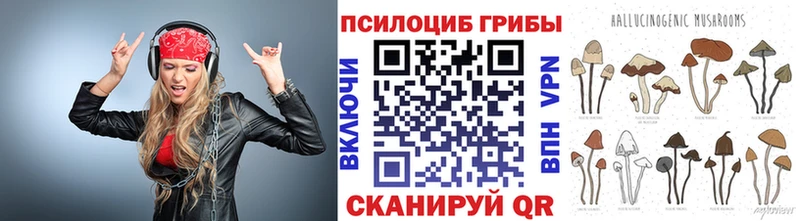 Галлюциногенные грибы мицелий  Купить  Дегтярск 